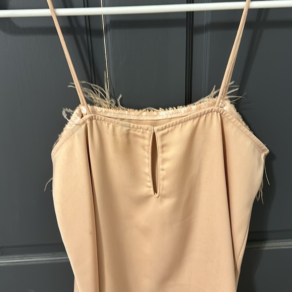 Champagne pink color feather top - Picture 3 of 4